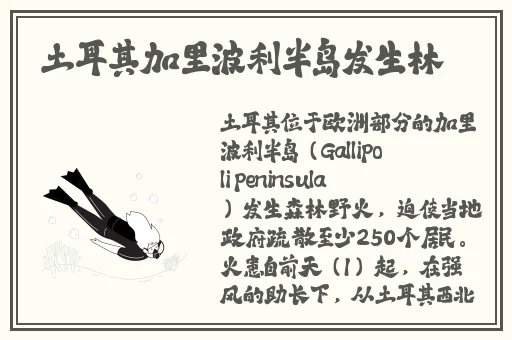 老湿机x看片